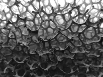 Катализатор на вспененных носителях