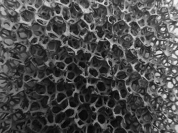 Платиноидное покрытие