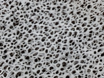 Катализатор ЭКАТ-ПНх-П