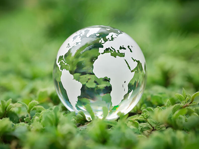 Поздравляем с Днём Эколога!