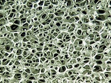 Пеноникель